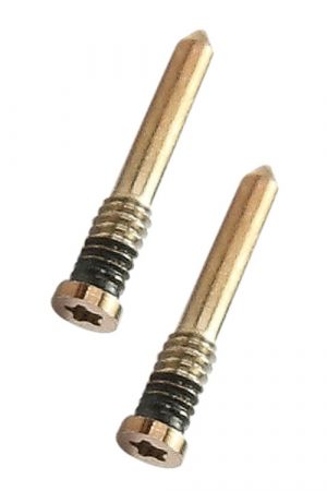 100 viti per porta di ricarica per iPhone 12 Mini