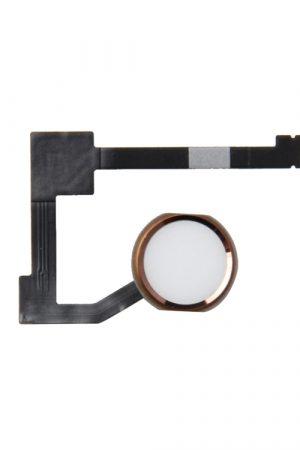 Cavo flessibile per assemblaggio pulsante home per iPad Pro 12,9 pollici / iPad mini 4, non supporta l'identificazione delle impronte digitali (oro)