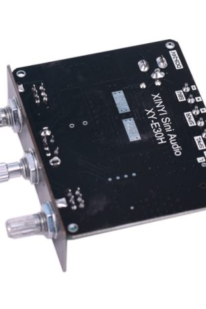 Modulo scheda madre amplificatore di potenza digitale Bluetooth a 2.1 canali Subwoofer passivo da 12 V