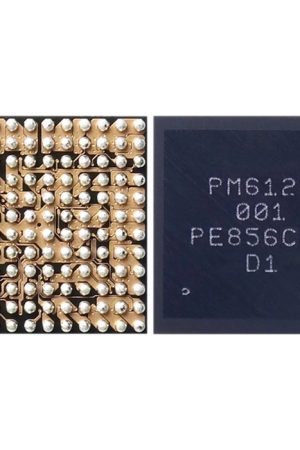 Modulo di potenza IC PM6125 001