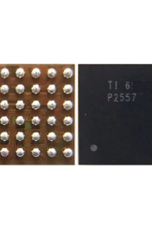 Modulo audio IC P2557