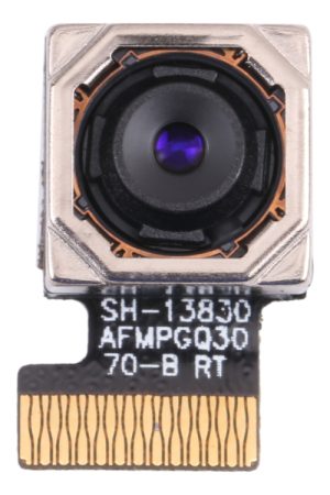 Fotocamera posteriore per Ulefone S10 Pro