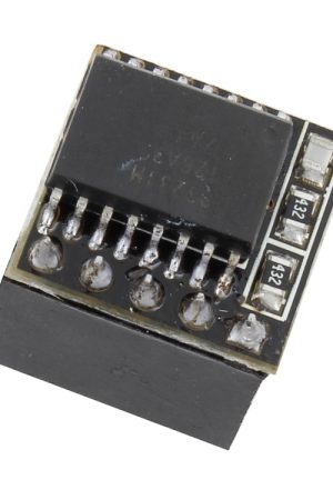 LDTR-WG0211 Modulo orologio DS3231 3,3 V / 5 V ad alta precisione per Raspberry Pi